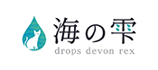 広島のデボンレックス専門ブリーダー｜健康で愛らしい猫と出会う｜海の雫